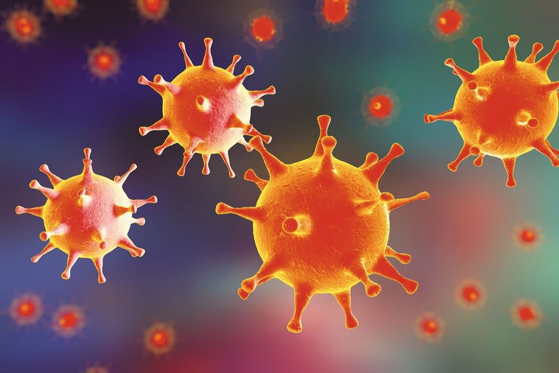 Rất nhiều virus có lợi cho sức khỏe người
